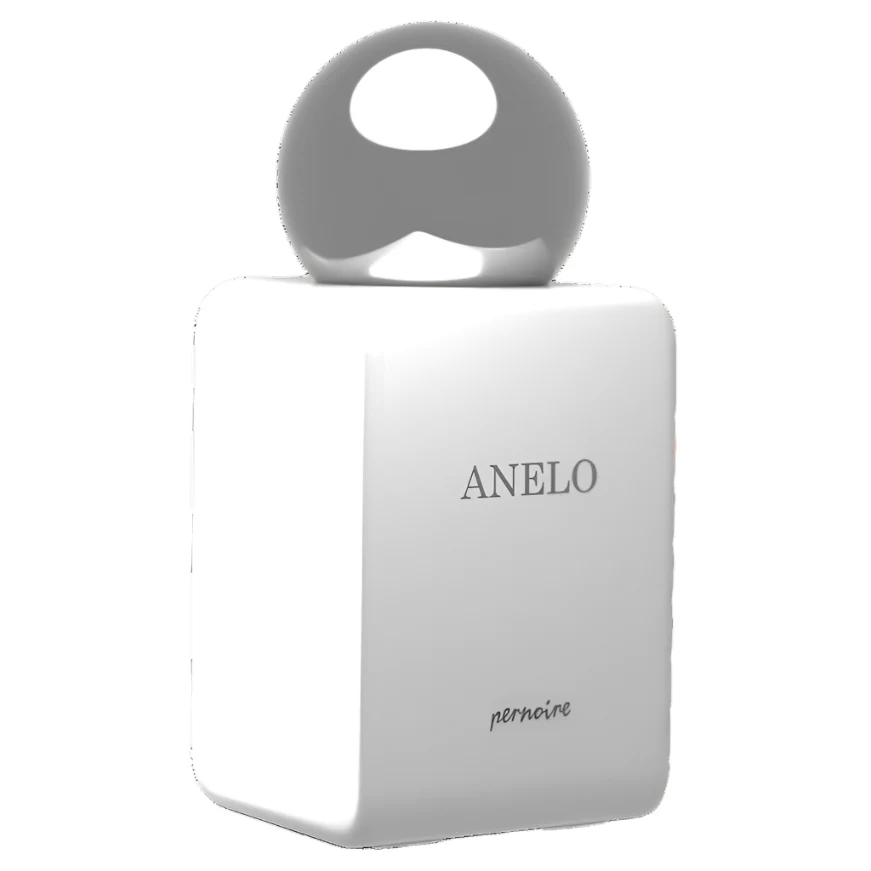 Pernoire Anelo